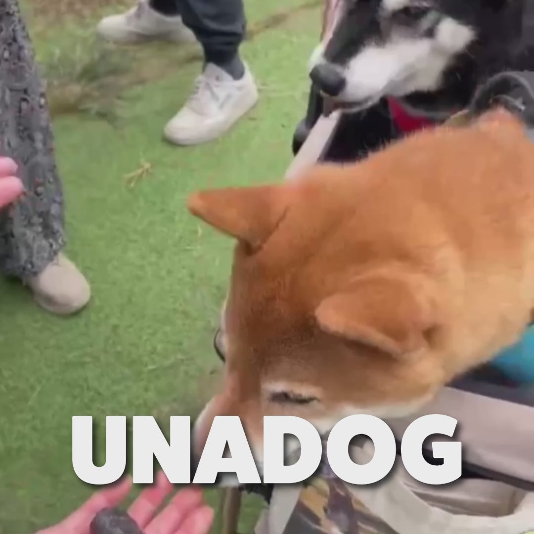 UNADOG70g3パック(送料無料)